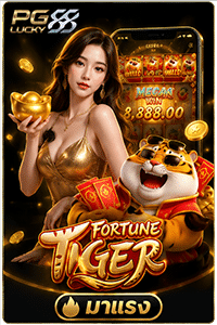Fortune Tiger